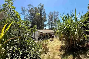 39182 Daily Rd, Fallbrook, CA 92028 - Photo 37