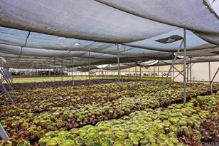 787 Cassou Rd, San Marcos, CA 92069 - Photo 29