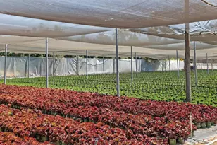 787 Cassou Rd, San Marcos, CA 92069 - Photo 25