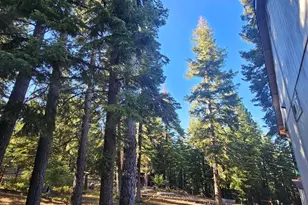 15445 Co Rd 71, Alturas, CA 96101 - Photo 29