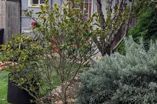 3258 Tyler St, Carlsbad, CA 92008 - Photo 23