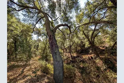 18868 Paradise Mountain Road, Valley Center, CA 92082 - Photo 23