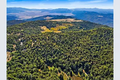 22520 Greenfield, Palomar Mountain, CA 92060 - Photo 7