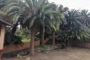 25734 Willow Ln, Escondido, CA 92026 - Photo 11