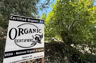 3135 E Valley Pkwy, Escondido, CA 92027 - Photo 21