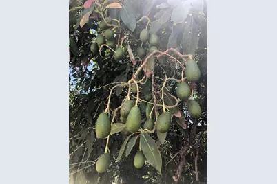 3135 E Valley Parkway, Escondido, CA 92027 - Photo 69