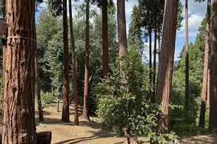 32811 Birch Hill Rd, Palomar Mountain, CA 92060 - Photo 5