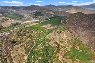 3264 Shearer Crossing, Fallbrook, CA 92028 - Photo 33