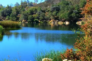 303 Amparo Dr, Escondido, CA 92025 - Photo 7