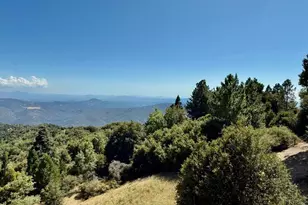 32771 Birch Hill Rd, Palomar Mountain, CA 92060 - Photo 21