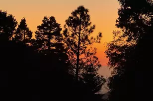 32771 Birch Hill Rd, Palomar Mountain, CA 92060 - Photo 33