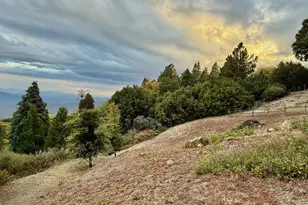 32771 Birch Hill Rd, Palomar Mountain, CA 92060 - Photo 5