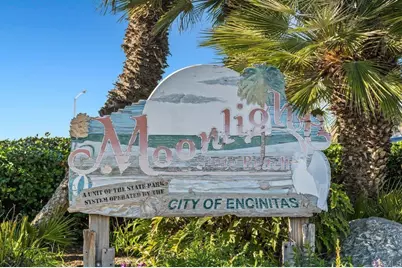 523 N Vulcan #3, Encinitas, CA 92024 - Photo 39