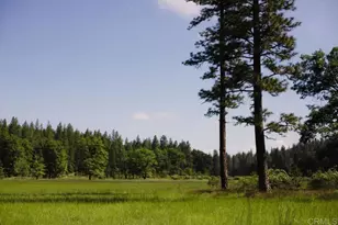 29276 Bullskin Ridge Rd, Oak Run, CA 96069 - Photo 21