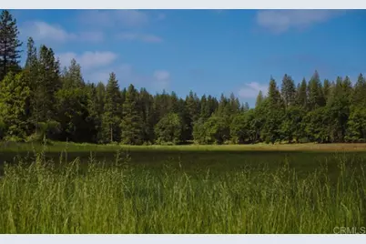 29276 Bullskin Ridge Rd, Oak Run, CA 96069 - Photo 7