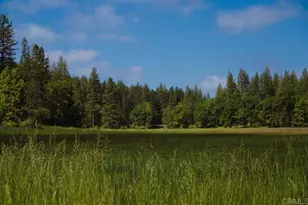 29276 Bullskin Ridge Rd, Oak Run, CA 96069 - Photo 7