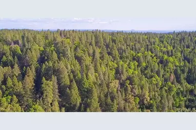 29276 Bullskin Ridge Rd, Oak Run, CA 96069 - Photo 3