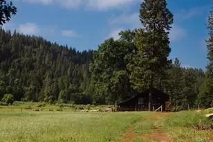 29276 Bullskin Ridge Rd, Oak Run, CA 96069 - Photo 5