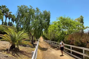 3226 Violet, Encinitas, CA 92024 - Photo 53