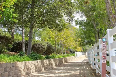 3226 Violet, Encinitas, CA 92024 - Photo 53