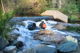 3226 Violet, Encinitas, CA 92024 - Photo 51