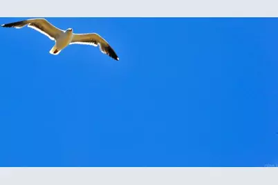 2535 Jefferson Street #10, Carlsbad, CA 92008 - Photo 33