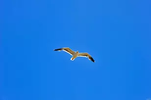 2535 Jefferson Street, Carlsbad, CA 92008 - Photo 33