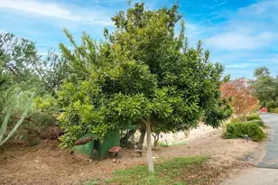 2719 Via Del Robles, Fallbrook, CA 92028 - Photo 47