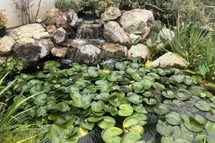 1707 Santa Margarita Dr, Fallbrook, CA 92028 - Photo 7