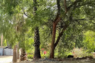 14082 Los Cielos, Escondido, CA 92025 - Photo 43