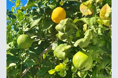 2445 S. Stage Coach Lane, Fallbrook, CA 92028 - Photo 53