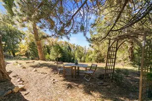 32787 Birch Hill Rd, Palomar Mountain, CA 92060 - Photo 37