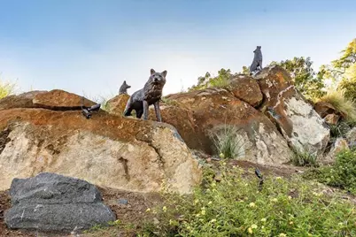 2451 Country View, Escondido, CA 92026 - Photo 45