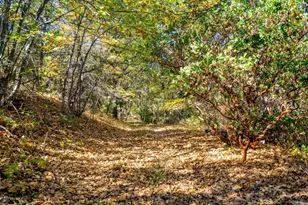 2810 3 Peaks Ln, Julian, CA 92036 - Photo 47