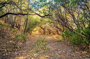 2810 3 Peaks Ln, Julian, CA 92036 - Photo 49