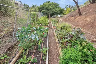 1427 Avocado Rd, Oceanside, CA 92054 - Photo 57