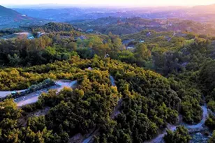 6036 Rainbow Heights Rd, Fallbrook, CA 92028 - Photo 7