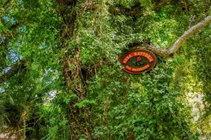 6036 Rainbow Heights Rd, Fallbrook, CA 92028 - Photo 51