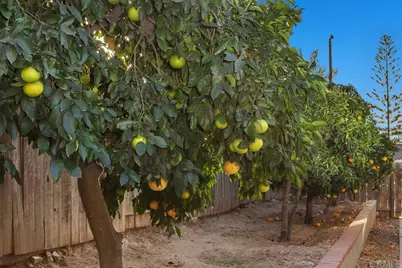 1446 San Carlos Place, Escondido, CA 92026 - Photo 43