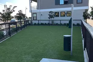 4672 Catmint Ln, Carlsbad, CA 92008 - Photo 7