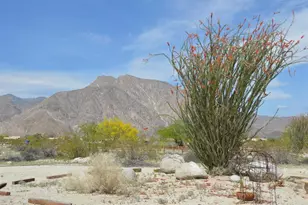 437 Ocotillo Cir, Borrego Springs, CA 92004 - Photo 45