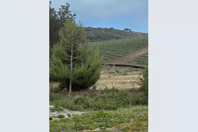 3514 Don Juan Drive, Carlsbad, CA 92010 - Photo 49