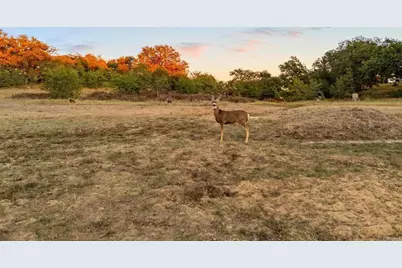 25258 Black Canyon Road, Santa Ysabel, CA 92070 - Photo 57
