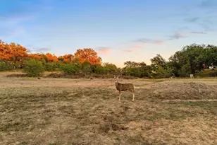 25258 Black Canyon Rd, Santa Ysabel, CA 92070 - Photo 57