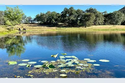 25258 Black Canyon Road, Santa Ysabel, CA 92070 - Photo 1