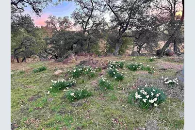25258 Black Canyon Road, Santa Ysabel, CA 92070 - Photo 45