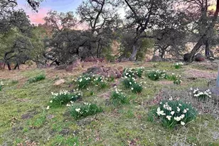 25258 Black Canyon Rd, Santa Ysabel, CA 92070 - Photo 45