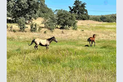 25258 Black Canyon Road, Santa Ysabel, CA 92070 - Photo 59