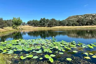 25258 Black Canyon Rd, Santa Ysabel, CA 92070 - Photo 47