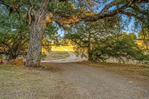 25258 Black Canyon Rd, Santa Ysabel, CA 92070 - Photo 65